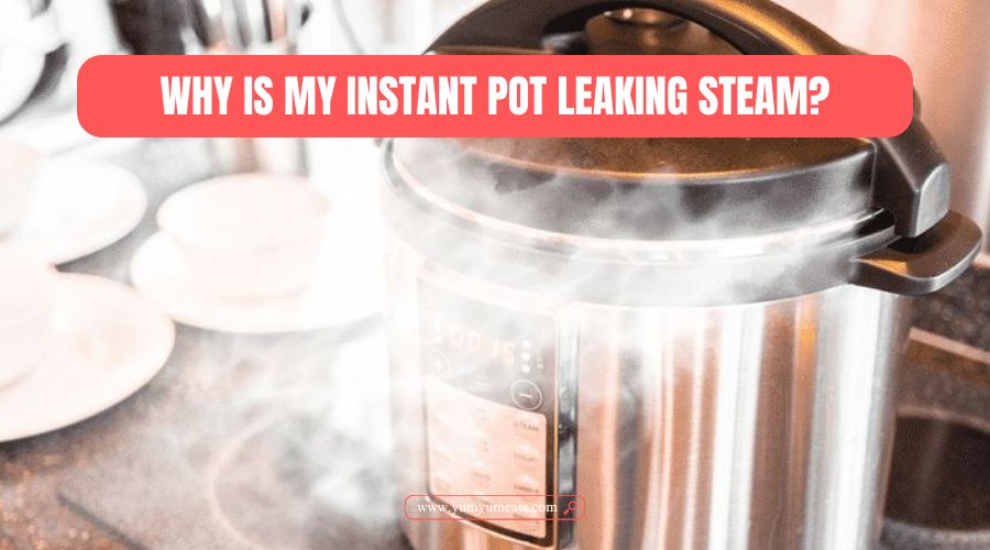 why is my instant pot leaking steam