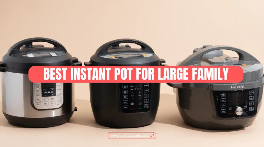 best instant pot for large family