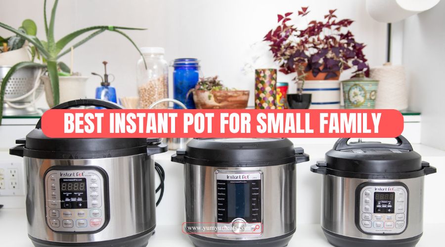 best instant pot for small family