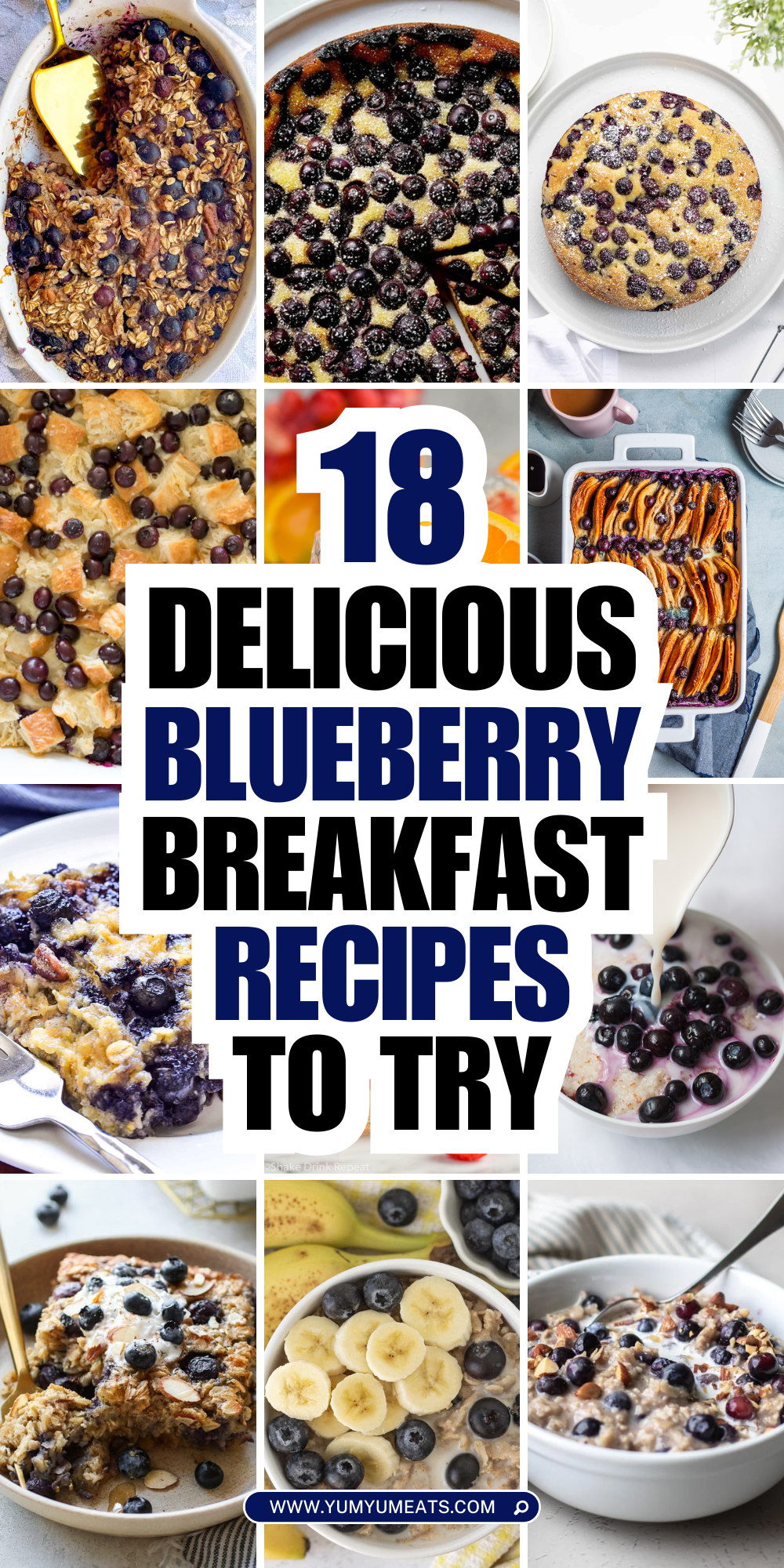 blueberry breakfast recipes