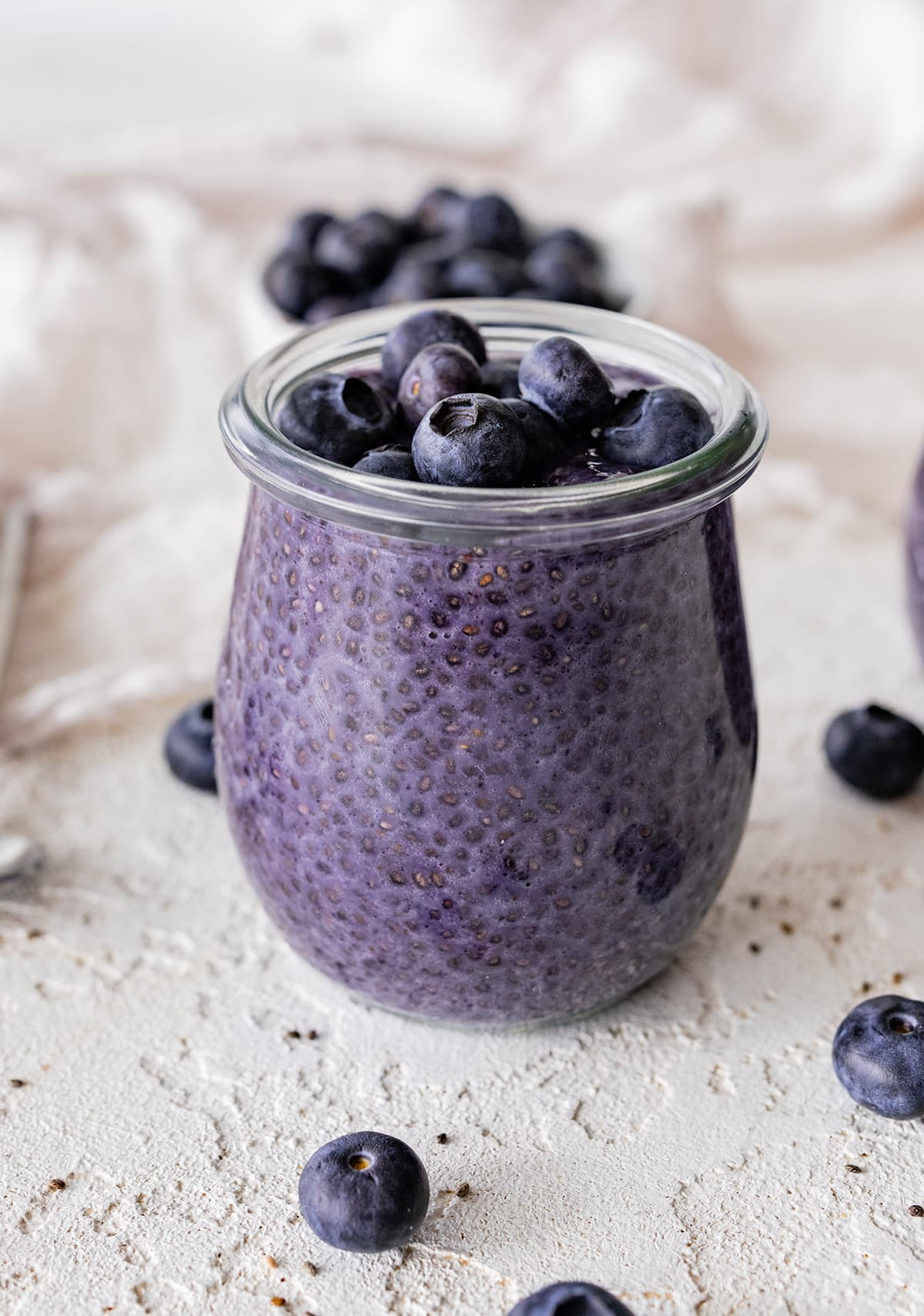 Blueberry Chia Pudding