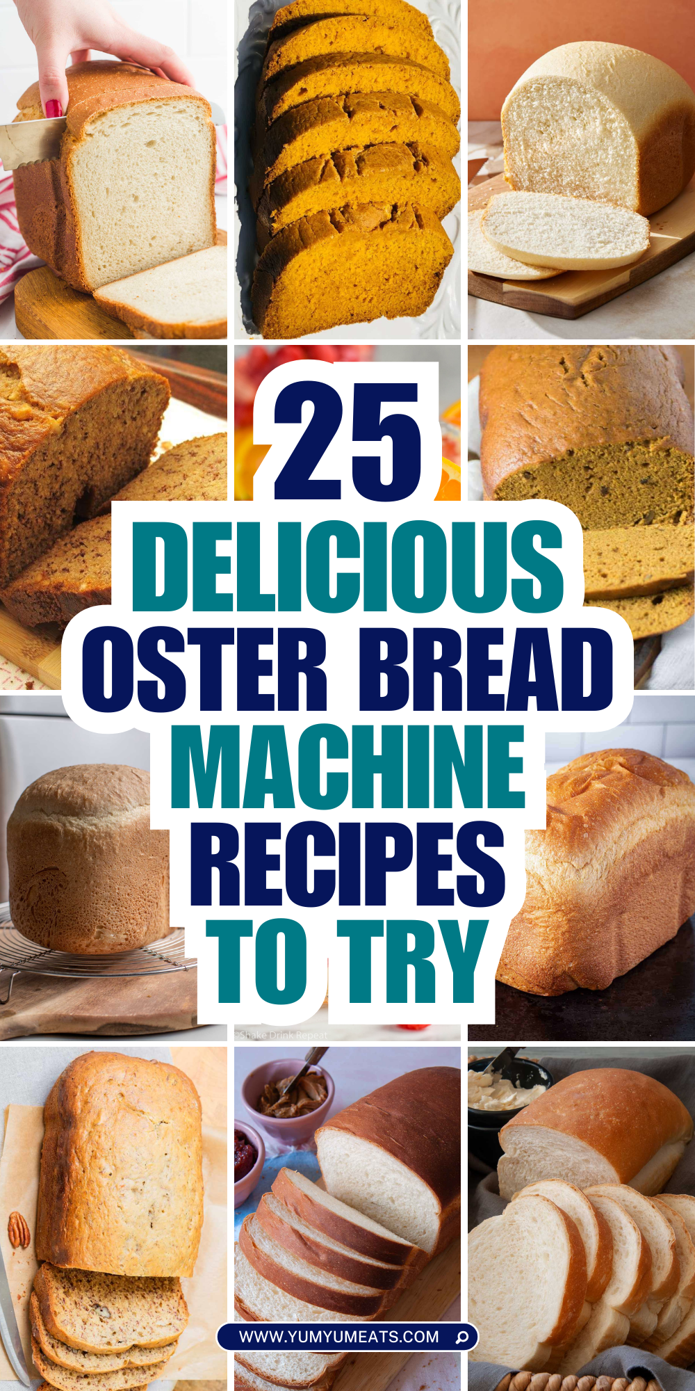 oster bread machine recipes