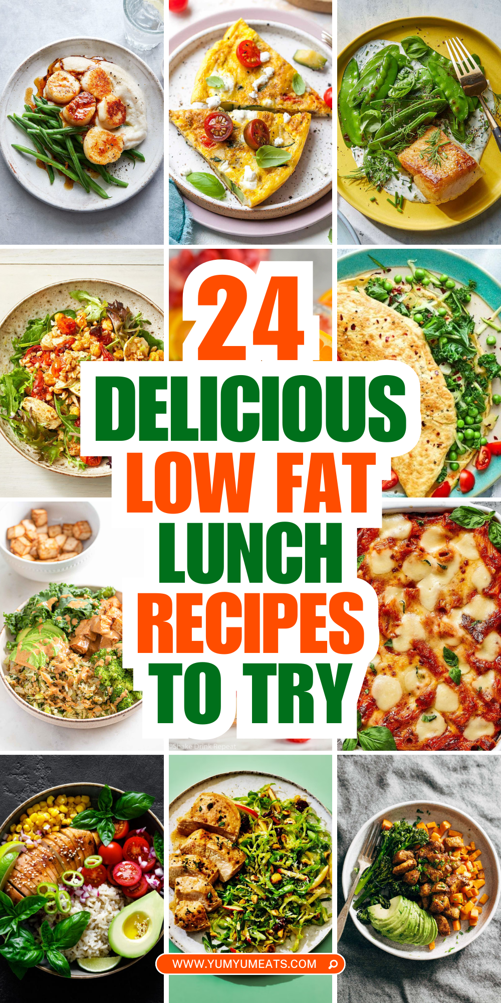 low fat lunch recipes