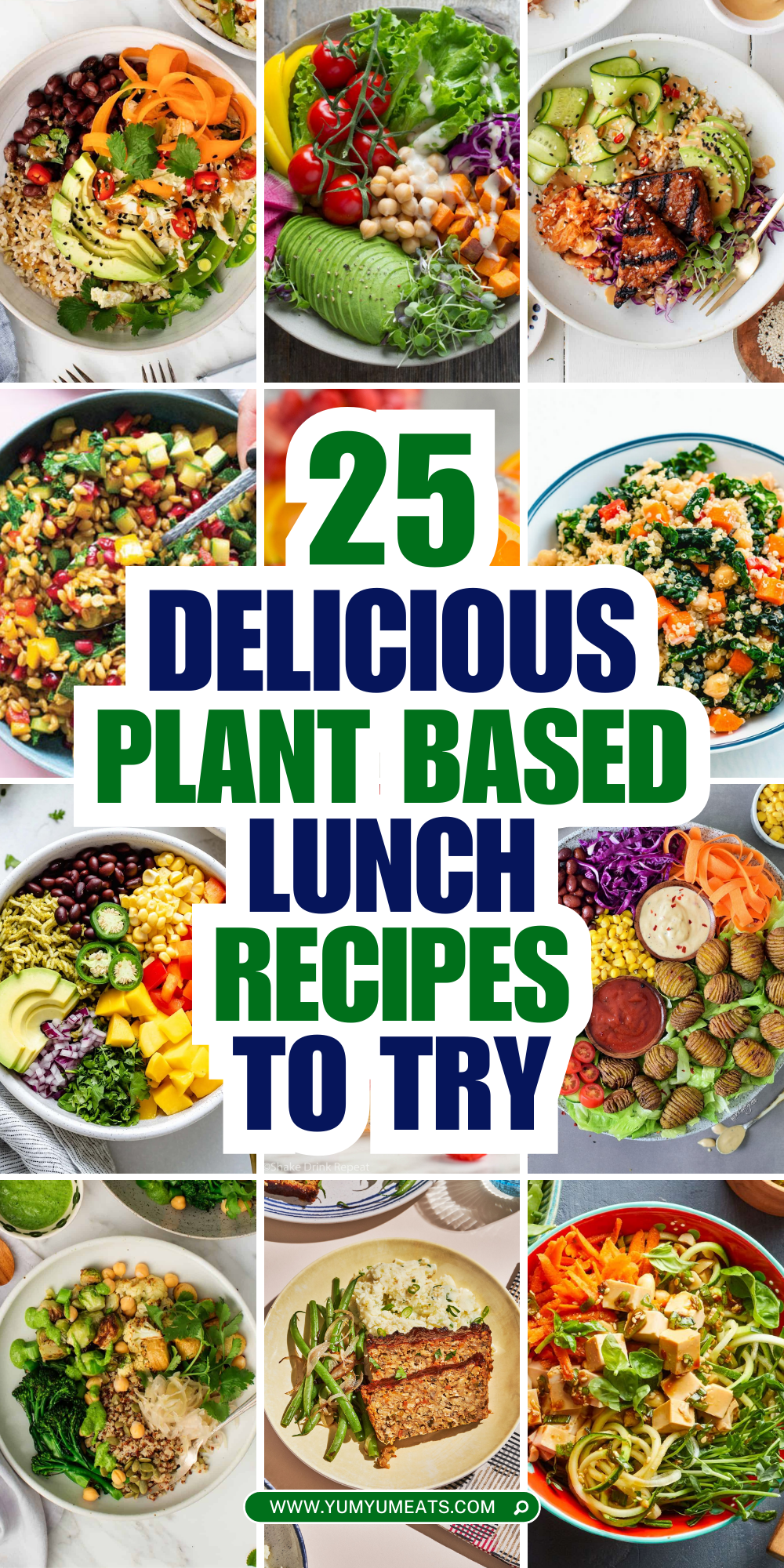 plant based lunch recipes