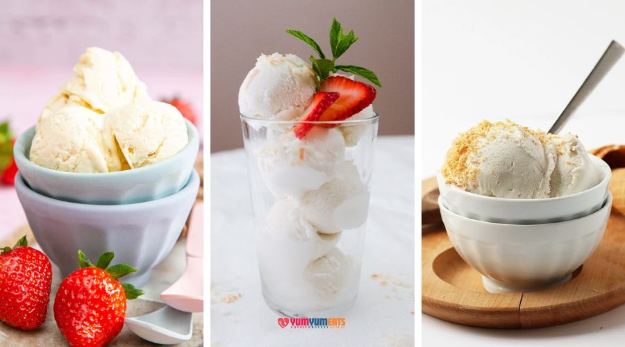 rival ice cream maker recipes