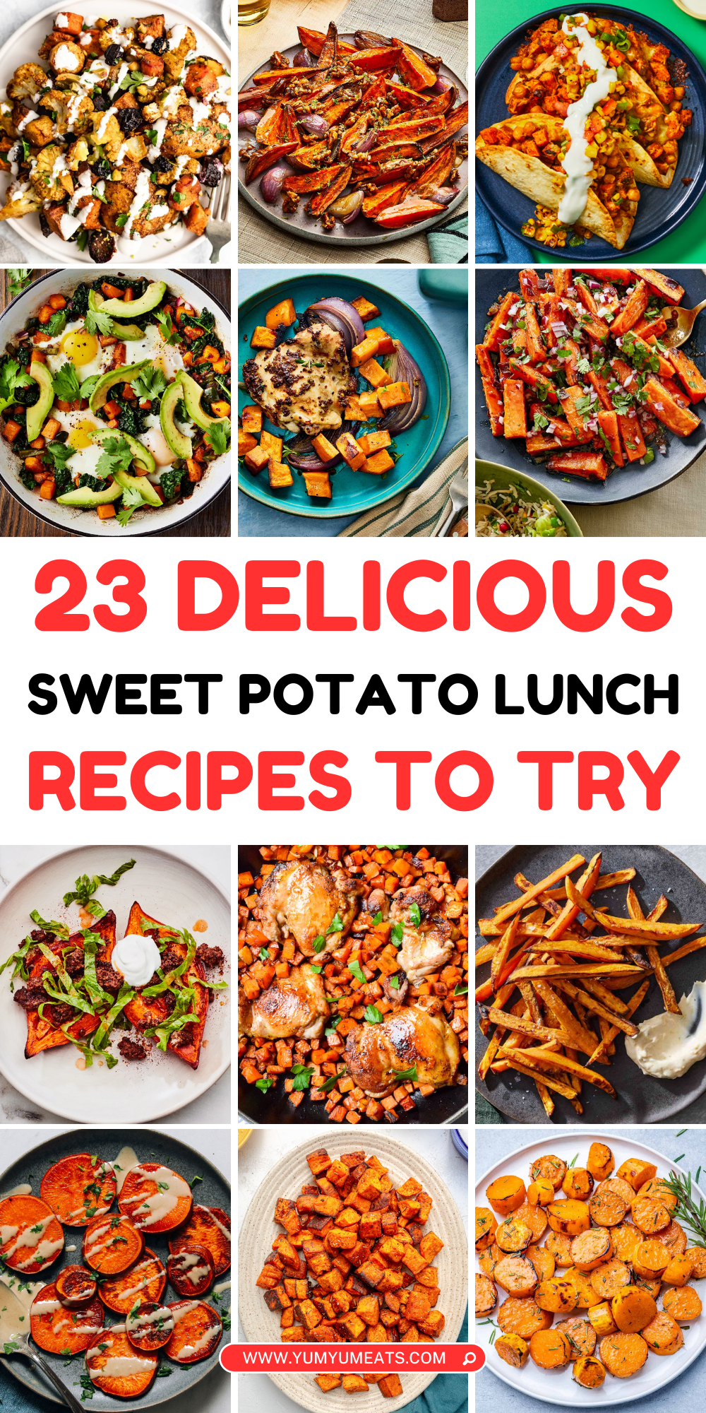 sweet potato lunch recipes