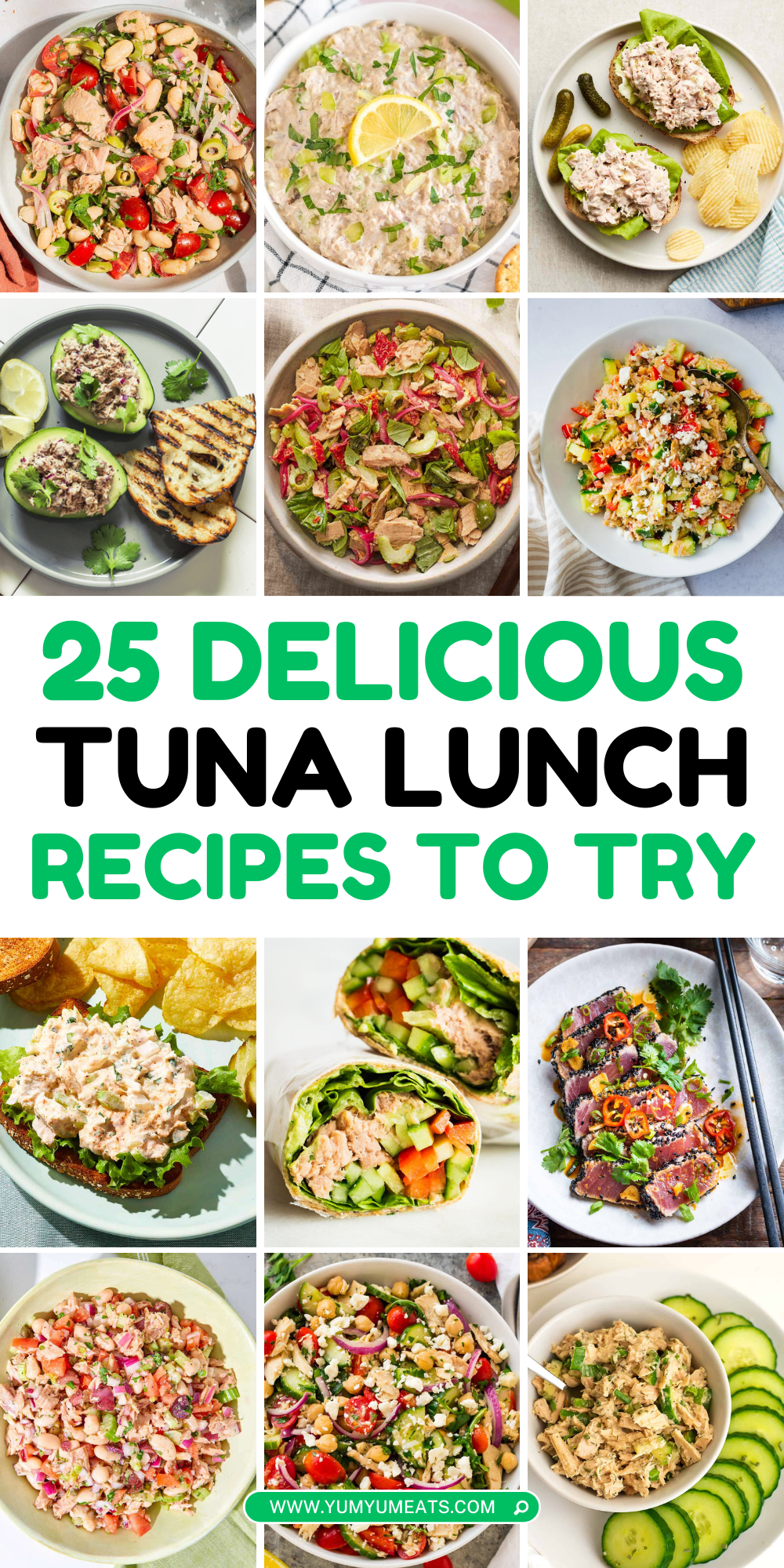 tuna lunch recipes