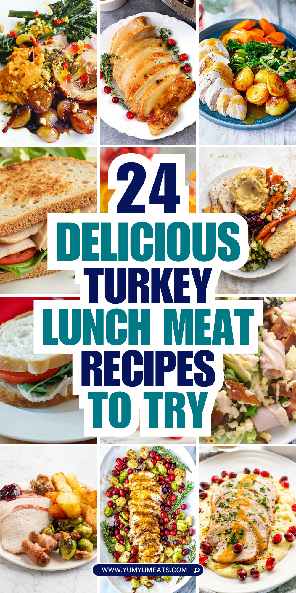 turkey lunch meat recipes