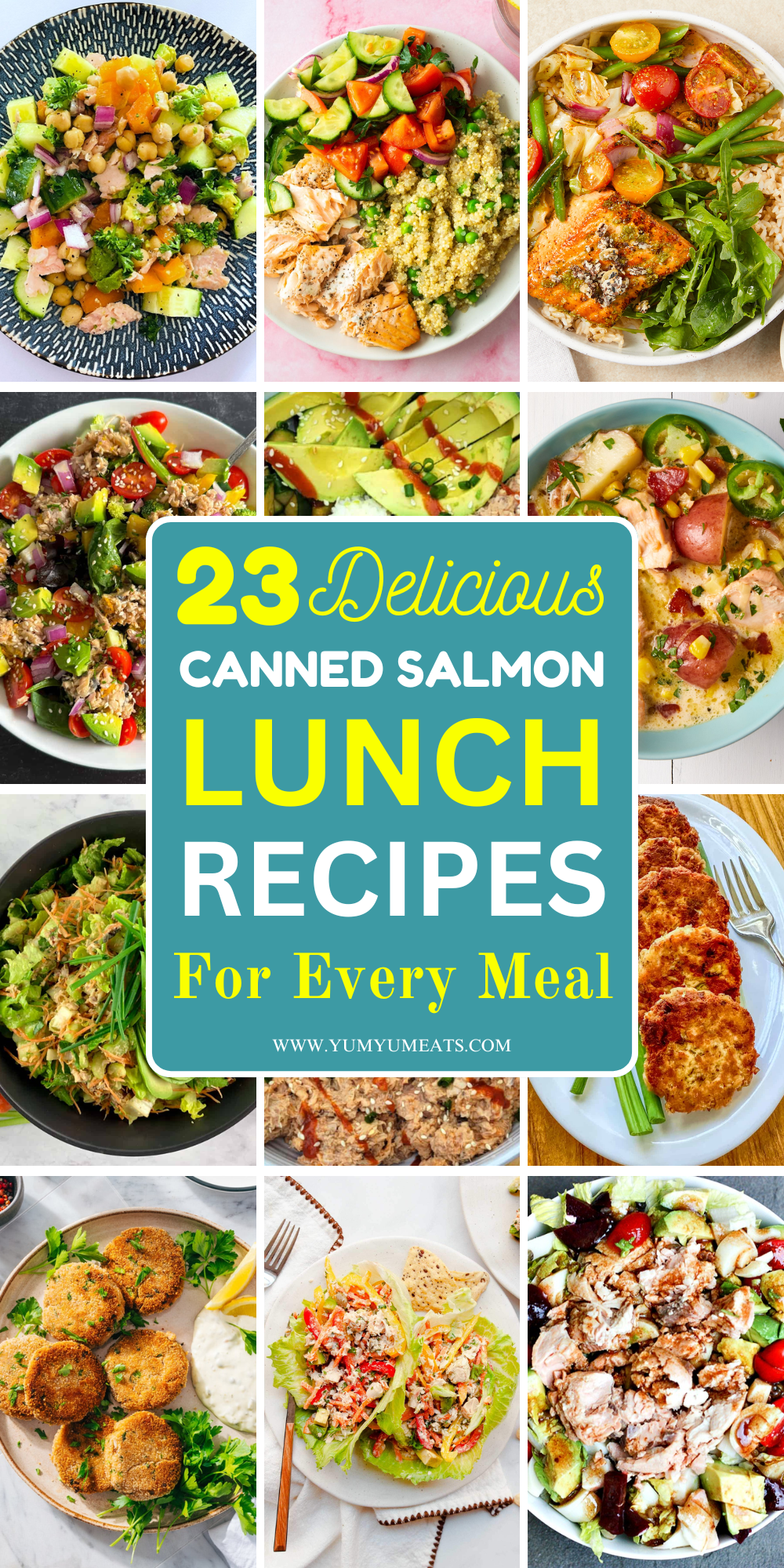 canned salmon lunch recipes