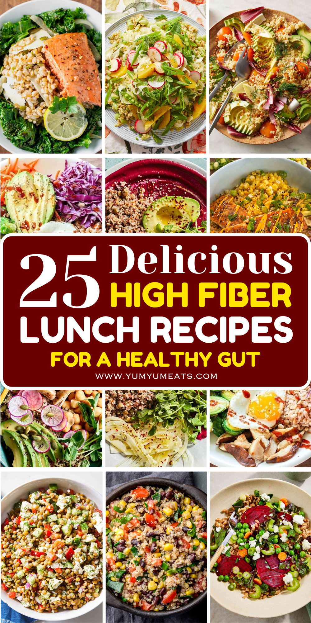 25+ Delicious High Fiber Lunch Recipes To Keep You Full And Energized